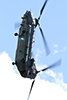 Chinook